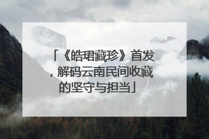 《皓珺藏珍》首发，解码云南民间收藏的坚守与担当