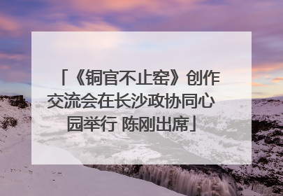 《铜官不止窑》创作交流会在长沙政协同心园举行 陈刚出席