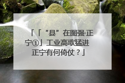 「“县”在图强·正宁①」工业高歌猛进 正宁有何倚仗？