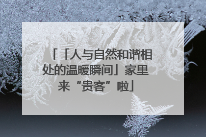 「人与自然和谐相处的温暖瞬间」家里来“贵客”啦