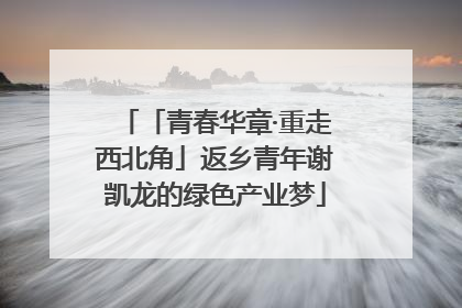 「青春华章·重走西北角」返乡青年谢凯龙的绿色产业梦
