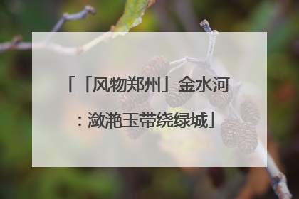 「风物郑州」金水河：潋滟玉带绕绿城