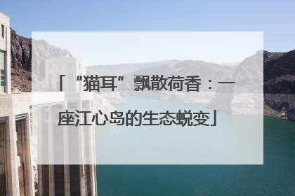 “猫耳”飘散荷香：一座江心岛的生态蜕变