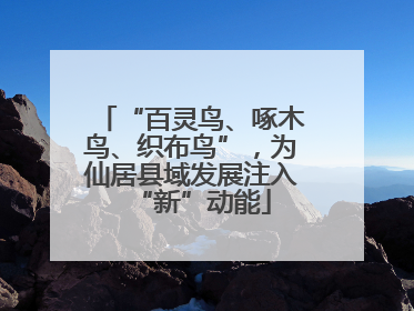 “百灵鸟、啄木鸟、织布鸟”，为仙居县域发展注入“新”动能
