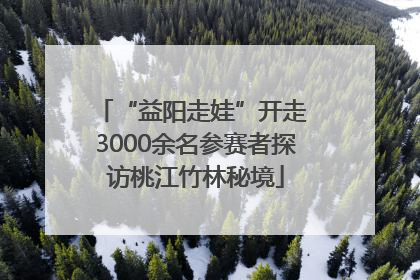 “益阳走娃”开走 3000余名参赛者探访桃江竹林秘境