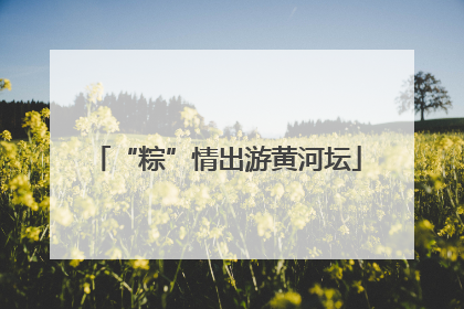 “粽”情出游黄河坛