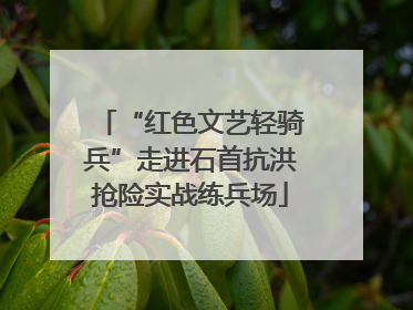 “红色文艺轻骑兵”走进石首抗洪抢险实战练兵场