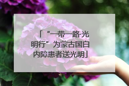 “一带一路·光明行”为蒙古国白内障患者送光明
