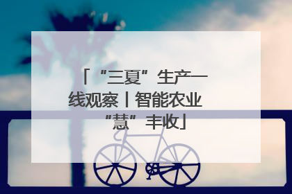 “三夏”生产一线观察丨智能农业“慧”丰收