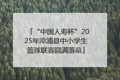“中国人寿杯”2025年漳浦县中小学生篮球联赛圆满落幕