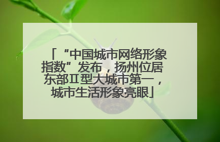 “中国城市网络形象指数”发布，扬州位居东部Ⅱ型大城市第一，城市生活形象亮眼