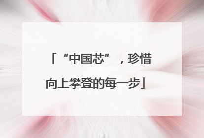 “中国芯”，珍惜向上攀登的每一步