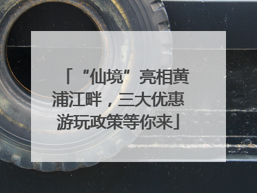 “仙境”亮相黄浦江畔，三大优惠游玩政策等你来