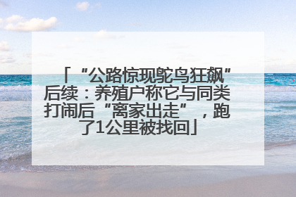 “公路惊现鸵鸟狂飙”后续：养殖户称它与同类打闹后“离家出走”，跑了1公里被找回