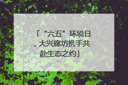 “六五”环境日，大兴廊坊携手共赴生态之约