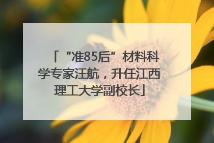 “准85后”材料科学专家汪航，升任江西理工大学副校长