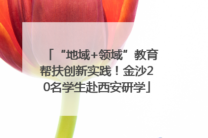 “地域+领域”教育帮扶创新实践！金沙20名学生赴西安研学
