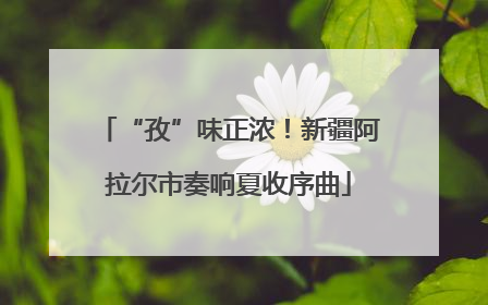 “孜”味正浓！新疆阿拉尔市奏响夏收序曲