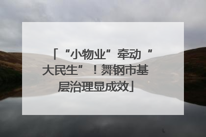 “小物业”牵动“大民生”！舞钢市基层治理显成效