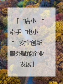 “店小二”牵手“电小二” 安宁创新服务赋能企业发展