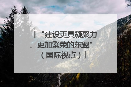 “建设更具凝聚力、更加繁荣的东盟”（国际视点）