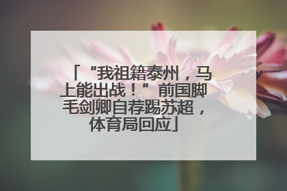 “我祖籍泰州，马上能出战！”前国脚毛剑卿自荐踢苏超，体育局回应