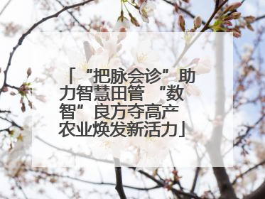 “把脉会诊”助力智慧田管 “数智”良方夺高产 农业焕发新活力