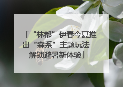 “林都”伊春今夏推出“森系”主题玩法 解锁避暑新体验