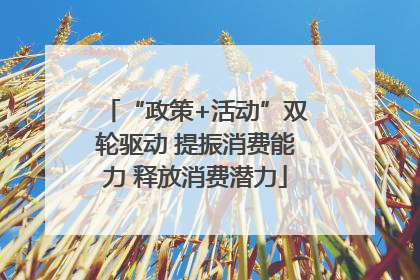 “政策+活动”双轮驱动 提振消费能力 释放消费潜力