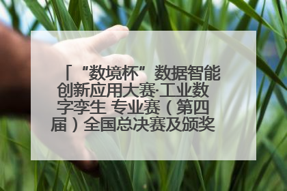 “数境杯”数据智能创新应用大赛·工业数字孪生 专业赛（第四届）全国总决赛及颁奖典礼成功举办