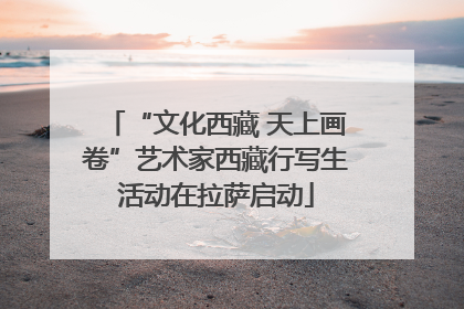 “文化西藏 天上画卷”艺术家西藏行写生活动在拉萨启动