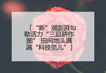 “新”潮澎湃勾勒活力“三夏耕作图” 田间地头满满“科技范儿”