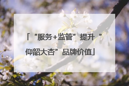 “服务+监管”提升“仰韶大杏”品牌价值