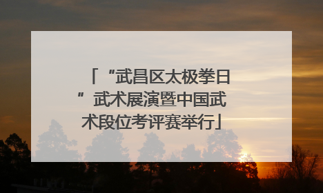 “武昌区太极拳日”武术展演暨中国武术段位考评赛举行