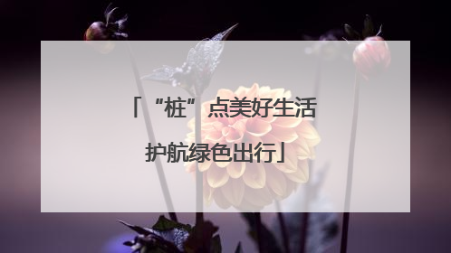 “桩”点美好生活 护航绿色出行