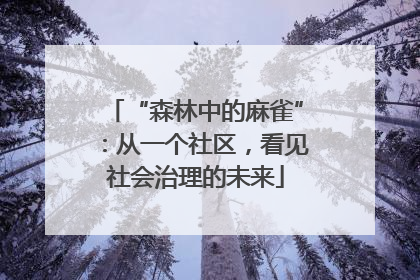 “森林中的麻雀”：从一个社区，看见社会治理的未来