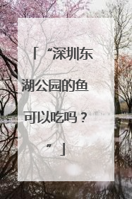 “深圳东湖公园的鱼可以吃吗？”