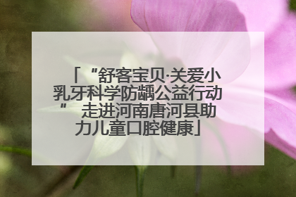 “舒客宝贝·关爱小乳牙科学防龋公益行动” 走进河南唐河县助力儿童口腔健康