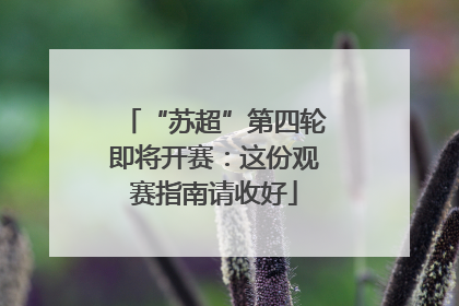 “苏超”第四轮即将开赛：这份观赛指南请收好