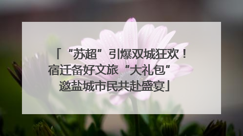 “苏超”引爆双城狂欢！宿迁备好文旅“大礼包” 邀盐城市民共赴盛宴