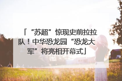 “苏超”惊现史前拉拉队！中华恐龙园“恐龙大军”将亮相开幕式
