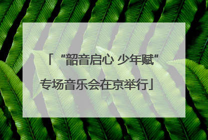 “韶音启心 少年赋”专场音乐会在京举行