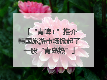 “青啤+”推介 韩国旅游市场掀起了一股“青岛热”