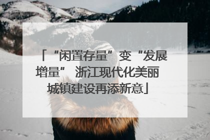 “闲置存量”变“发展增量” 浙江现代化美丽城镇建设再添新意