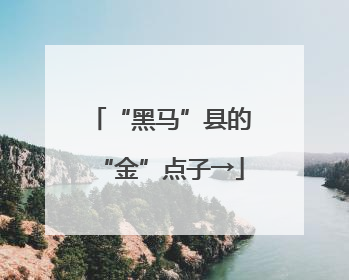 “黑马”县的“金”点子→