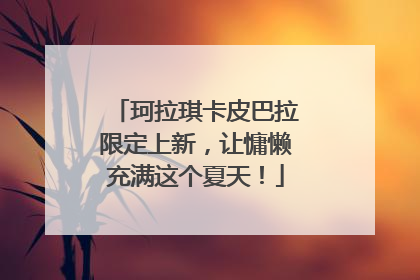 珂拉琪卡皮巴拉限定上新，让慵懒充满这个夏天！