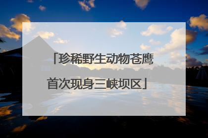 珍稀野生动物苍鹰首次现身三峡坝区