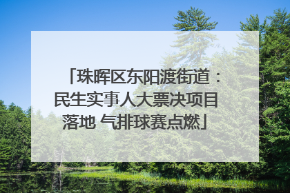 珠晖区东阳渡街道：民生实事人大票决项目落地 气排球赛点燃
