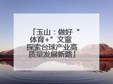 玉山：做好“体育+”文章 探索台球产业高质量发展新路