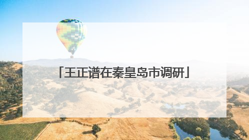 王正谱在秦皇岛市调研